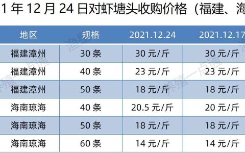 对虾价格
