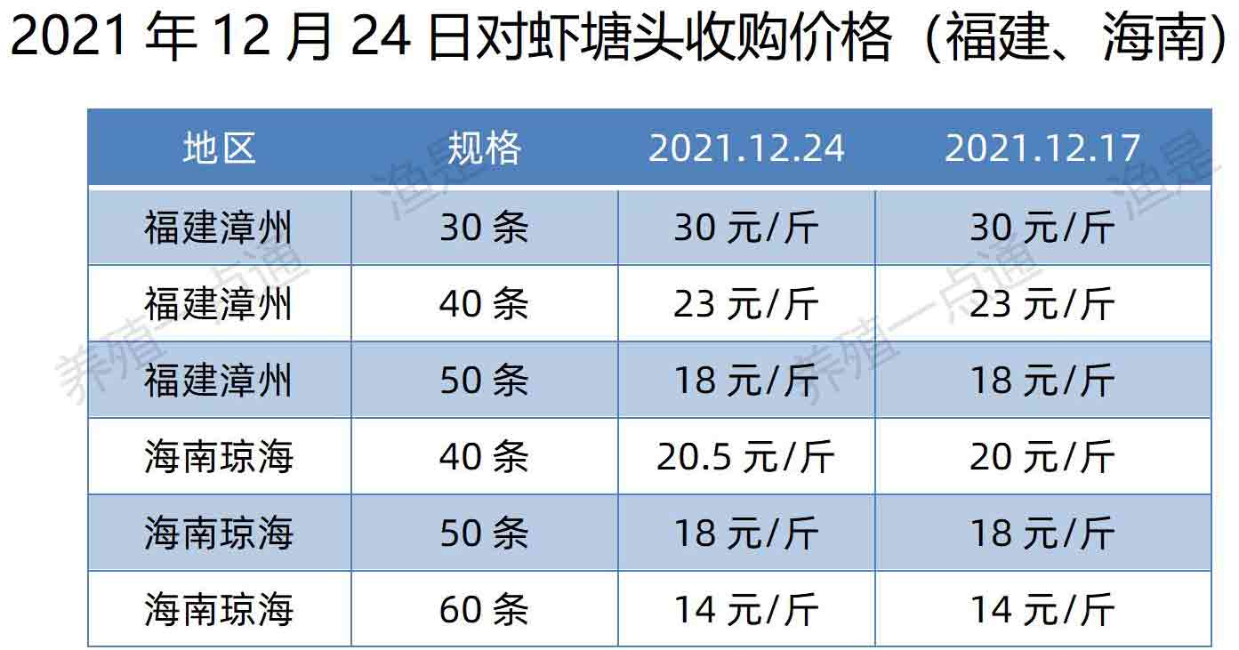 对虾价格