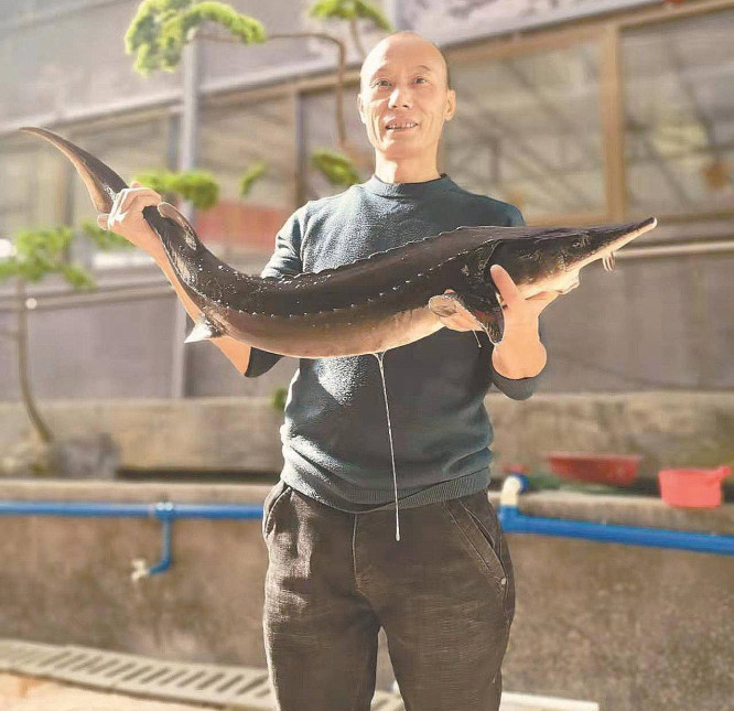 徐桥东和他的鲟鱼