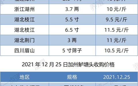 斑叉塘鲺江团