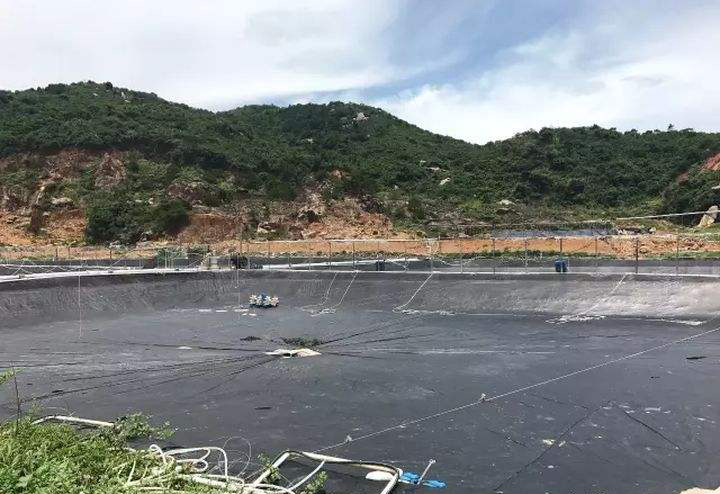 虾塘排污口
