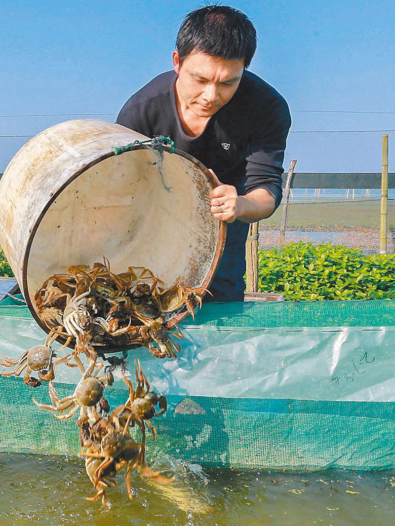 单硅酸促虾蟹蜕壳
