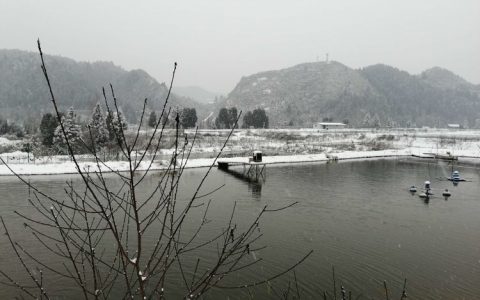 鱼塘越冬