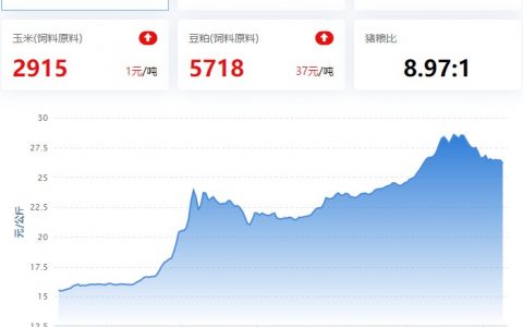 2022.11.09，猪价走势。