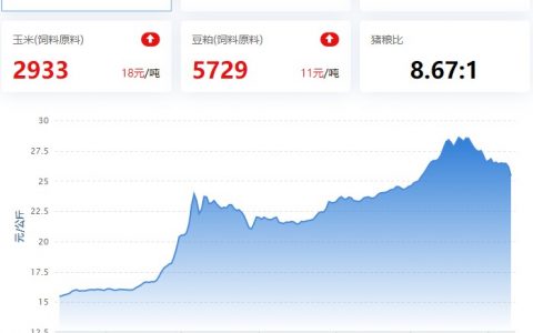 2022.11.10，猪价走势。