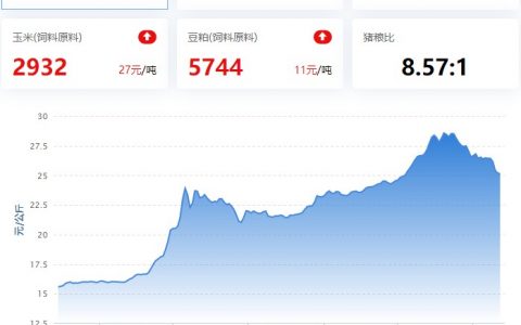 2022.11.12，猪价走势。