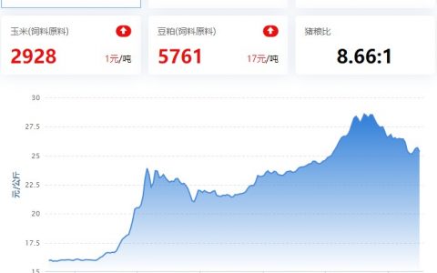 2022.11.16，猪价走势。