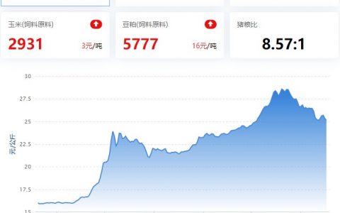2022.11.17，猪价走势。