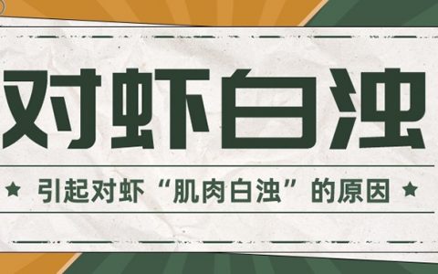 对虾白浊病