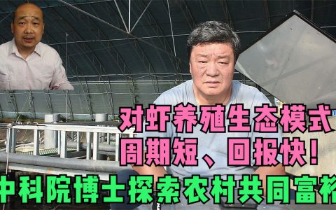 对虾养殖生态模式，周期短、回报快！