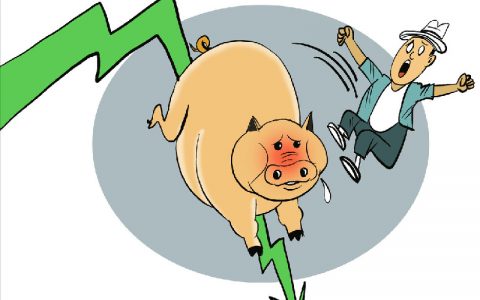 猪价下跌
