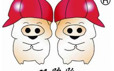 双胞胎