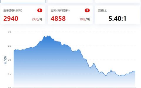 2023.02.28，猪价走势