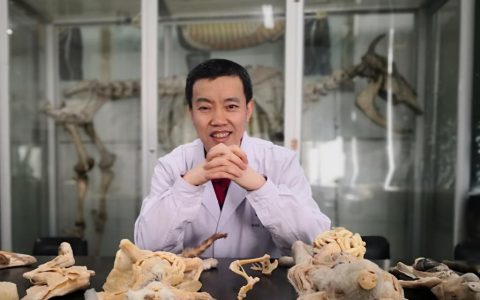 　白志坤，东北农业大学副教授，硕导。