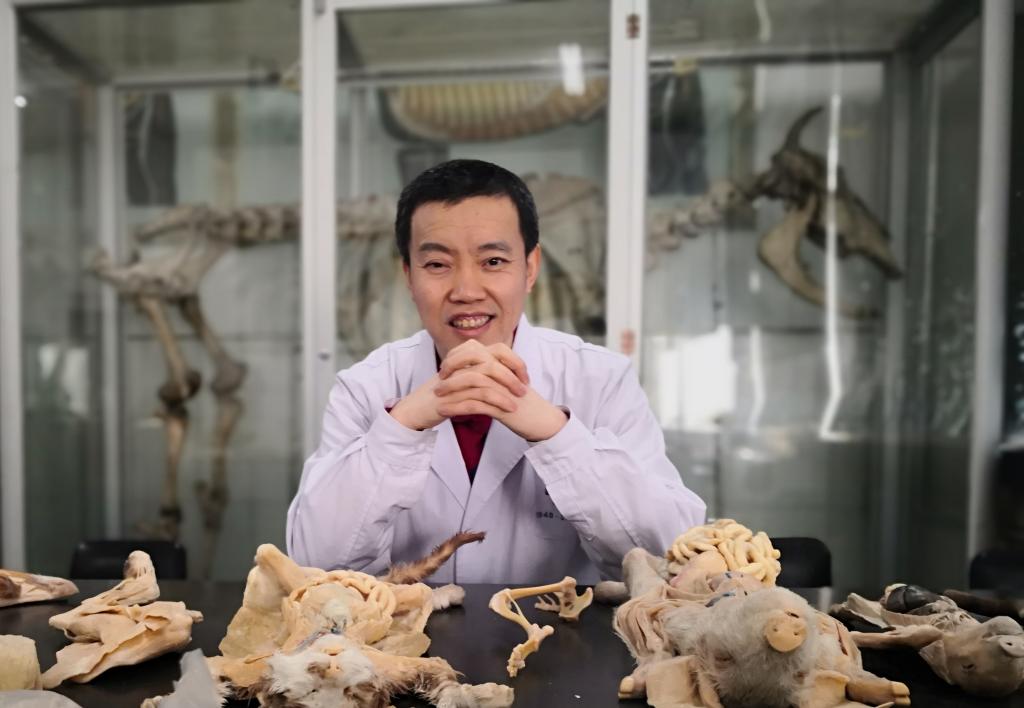 　白志坤，东北农业大学副教授，硕导。