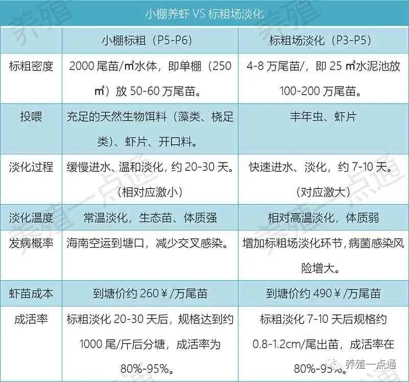 小棚养虾VS标粗场淡化