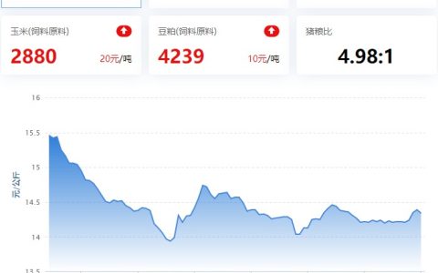 2023.06.19，猪价走势