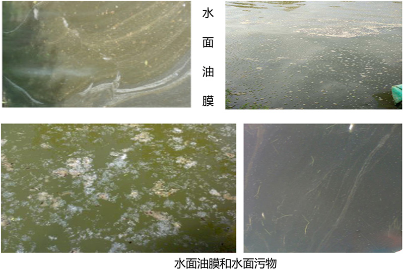 鱼虾塘底恶化
