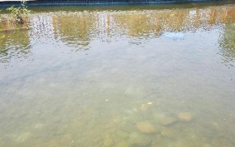 茶色水、茶褐色水