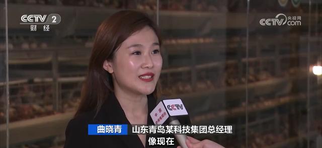山东青岛某科技集团总经理 曲晓青
