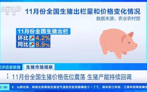 2023.11月，全国生猪出栏量环比上涨4.2%