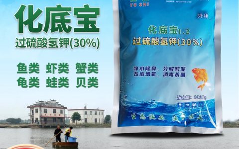渔是化底宝