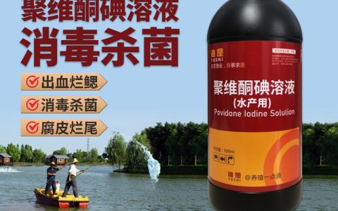 渔是聚维酮碘
