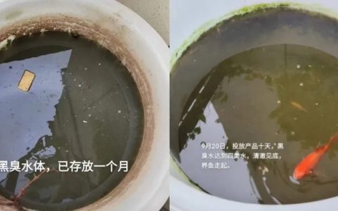用过增氧片后的改底效果