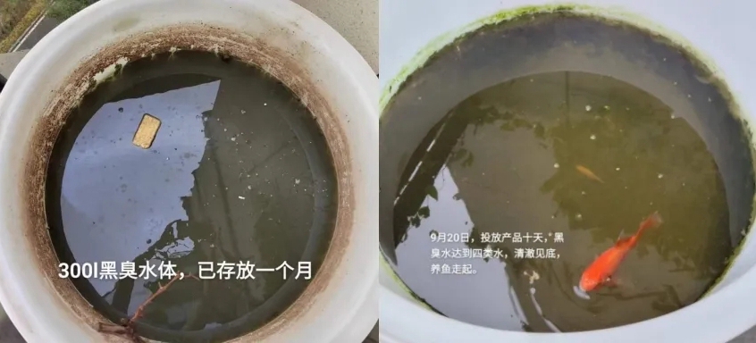 用过增氧片后的改底效果