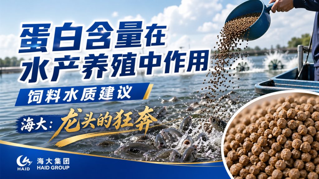 【饲料】蛋白含量在水产养殖中的作用；饲料、水质管理建议