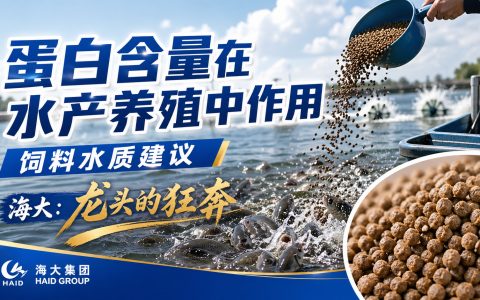 【饲料】蛋白含量在水产养殖中的作用；饲料、水质管理建议