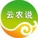 云农说的头像