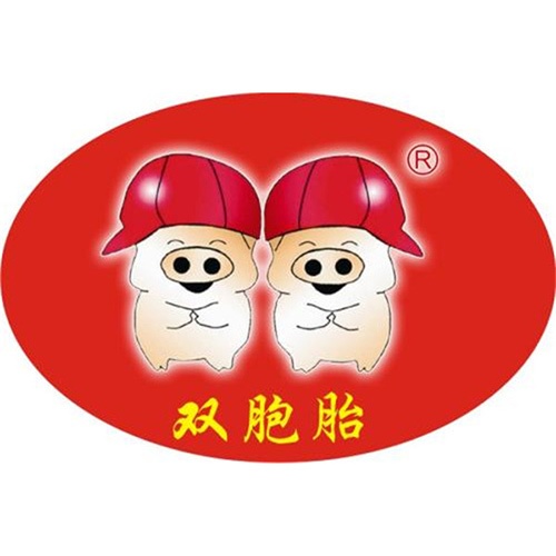双胞胎的头像